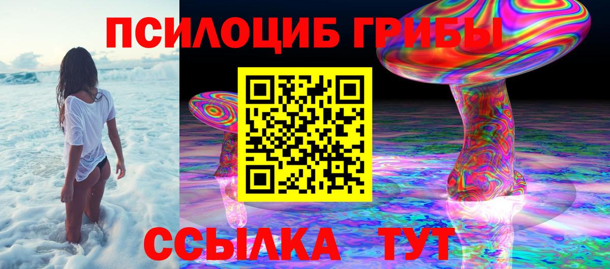 Прохладный  Галлюциногенные грибы мицелий  Вход с VPN 